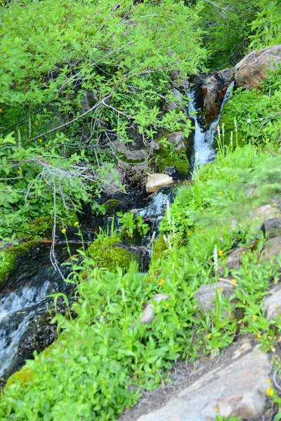 DSC_0083 (Large).JPG